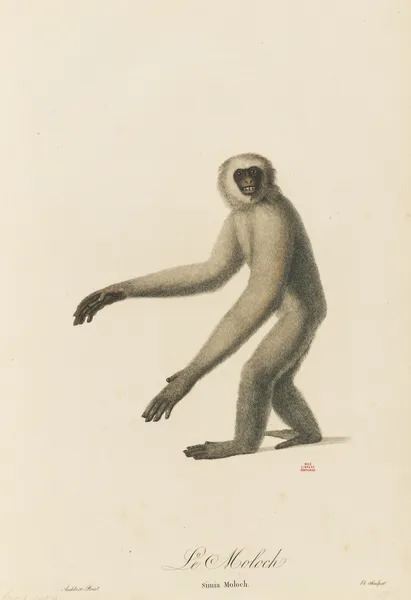 Le Moloch av Jean-Baptiste Audebert