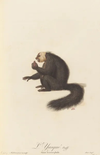 L’Yarqué av Jean-Baptiste Audebert