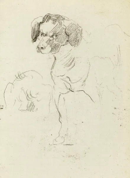 Etude de chien av Jean-Baptiste Carpeaux