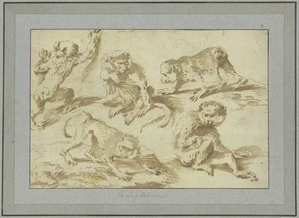 Fünf Affen in verschiedenen Stellungen av Giovanni Benedetto Castiglione