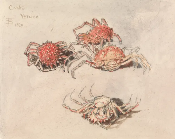 Studies of Spider Crabs, Venice av Myles Birket Foster