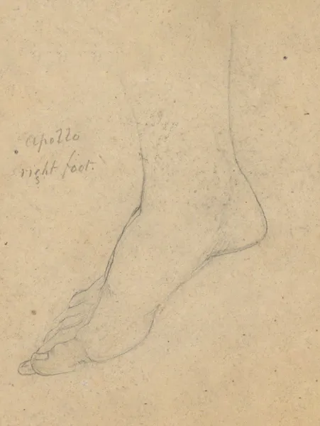 Study for the Judgment of Jupiter (Apollo, right foot) av Samuel Finley Breese Morse