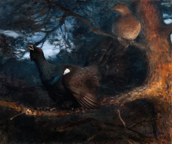 The mating of the Capercaillies av Bruno Liljefors