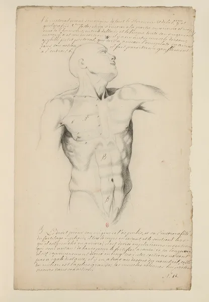 Cahiers d’Anatomie Pl.11 (18th Century) av Charles Monnet