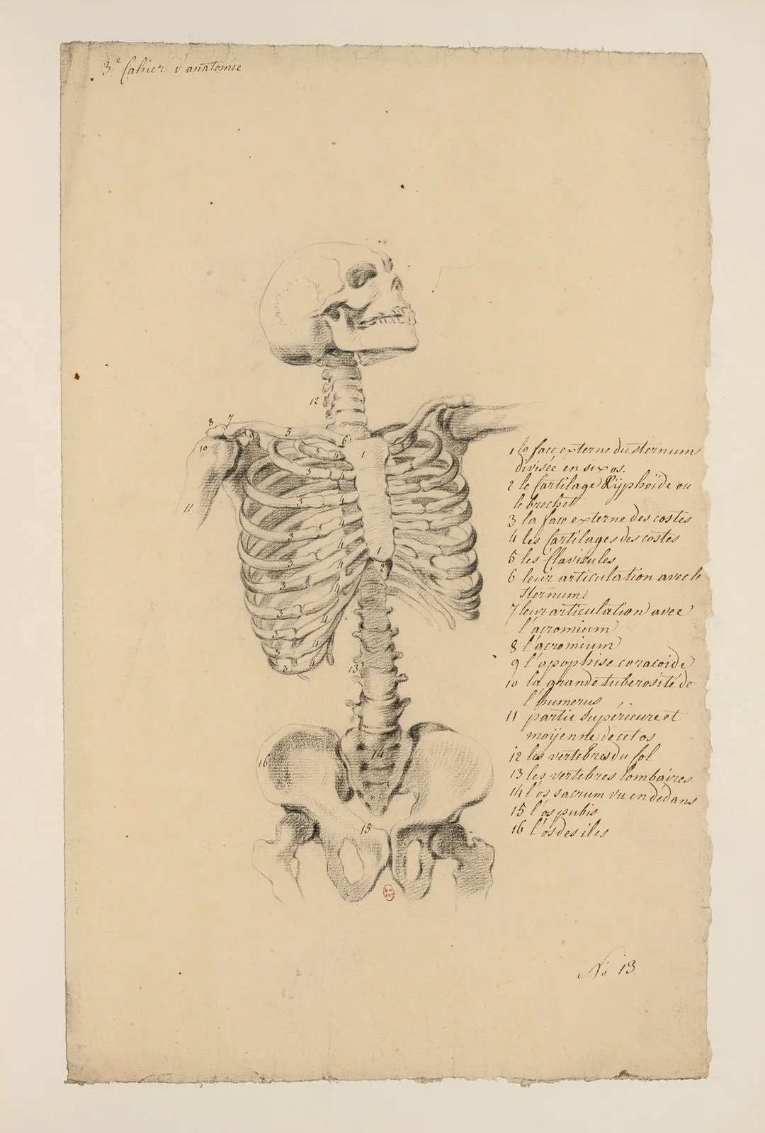 Cahiers d’Anatomie Pl.12 (18th Century) av Charles Monnet