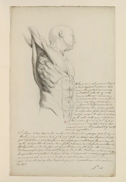 Cahiers d’Anatomie Pl.13 (18th Century) av Charles Monnet