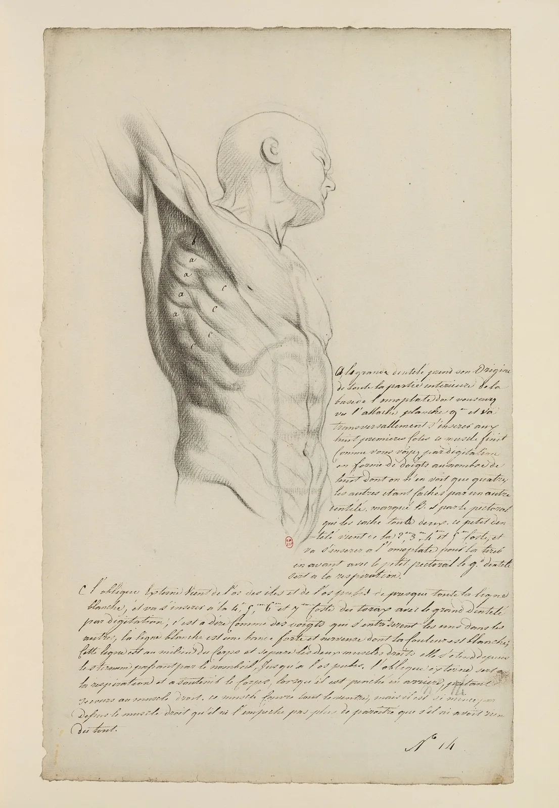 Cahiers d’Anatomie Pl.13 (18th Century) av Charles Monnet