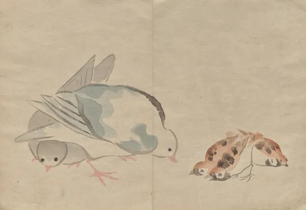 The Kōrin Picture Book Pl.04 av Hōchū Nakamura