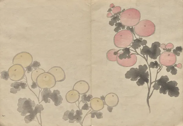 The Kōrin Picture Book Pl.08 av Hōchū Nakamura