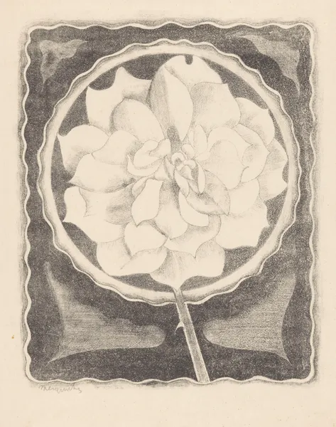 Roos (in cirkel, met golvende rand) av Samuel Jessurun de Mesquita