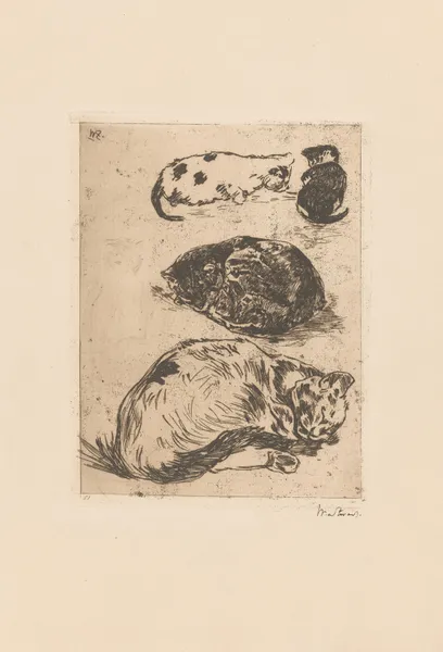 Studie van katten (20th century) av Willem de Zwart