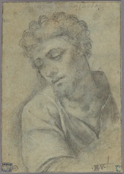 Study for the Figure of Christ Carrying the Cross av Sebastiano del Piombo