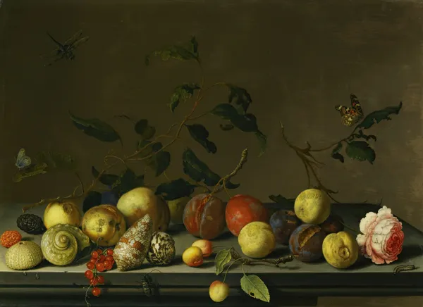 A Still Life Of Fruit And Shells With A Rose And Various Insects Upon A Stone Ledge av Balthasar van der Ast