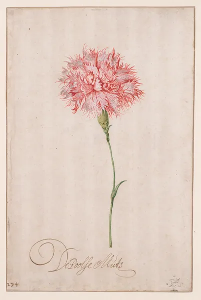 De Poolse Muts av Balthasar van der Ast