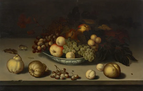 Grapes, apples, peaches and apricots in a Wan-li bowl, with quinces, a frog, a caterpillar, a fly and a beetle on a stone ledge av Balthasar van der Ast