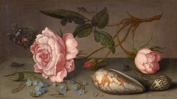 Roses, coquillages et insectes sur une table av Balthasar van der Ast