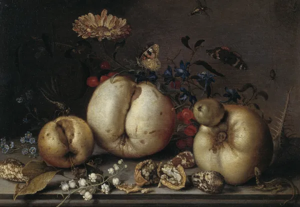 Still Life with Fruit and Shells av Balthasar van der Ast