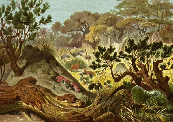 Die Insekten, Tausendfüssler und Spinnen Pl 16 av Alfred Edmund Brehm