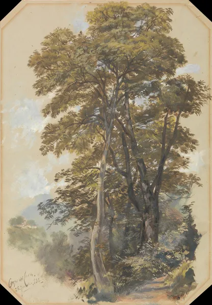 Corpo di Cava, 28 June 1838 av Edward Lear