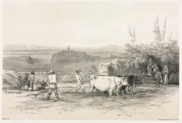 Roiate av Edward Lear