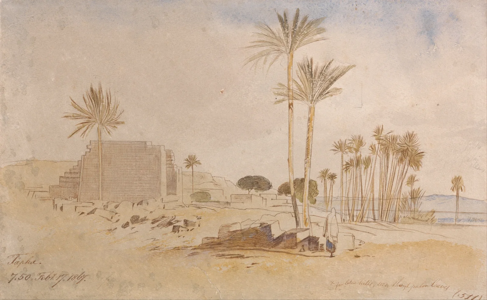 Tapha, 7-50 a.m., February 17, 1867 av Edward Lear