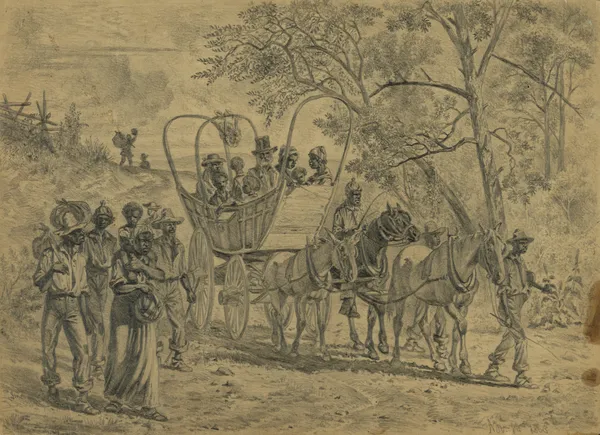 African American refugees coming into the Union lines near Culpeper Court House, Va. av Edwin Forbes