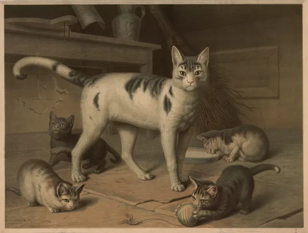 Cat av Emil Schmidt