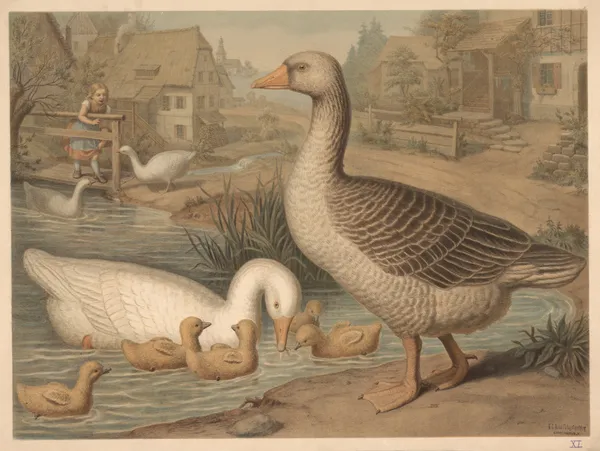 Goose av Emil Schmidt