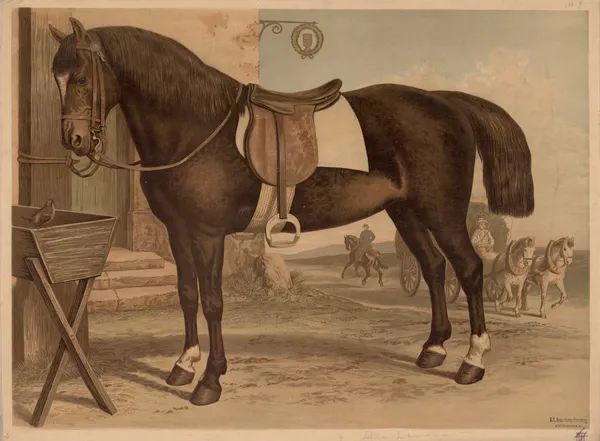 Horse av Emil Schmidt