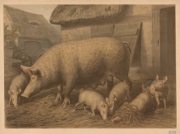 Pig av Emil Schmidt