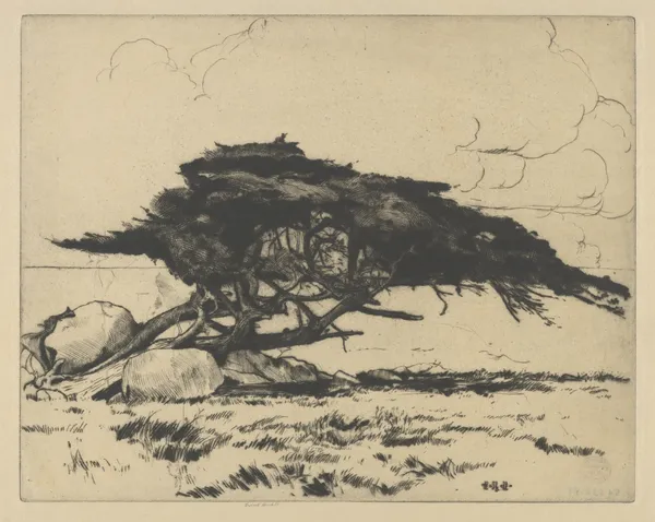 Dolphin av Ernest Haskell