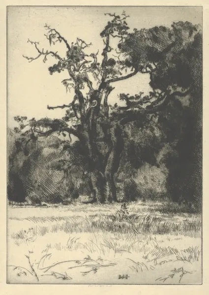 Dying White Oak av Ernest Haskell