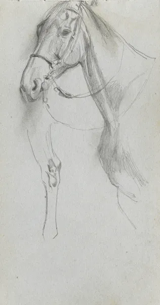 Study for a Horse av Ernest Meissonier