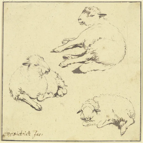 Three resting sheep av Christian Wilhelm Ernst Dietrich