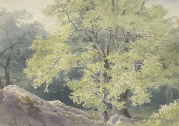 In the forest near Falkenstein av Friedrich Ernst Morgenstern
