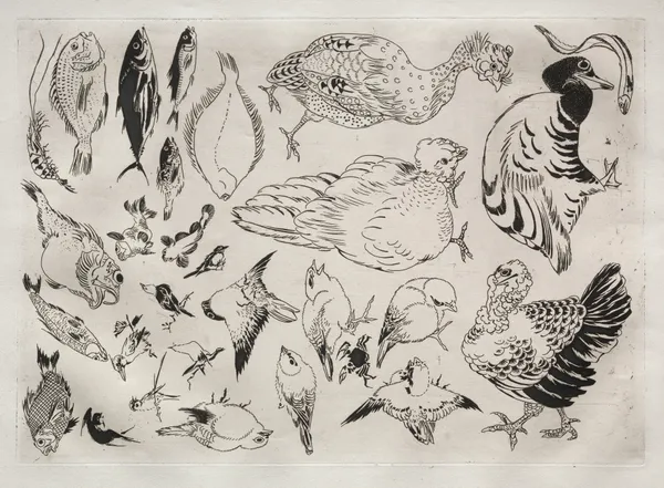 Dinner Service (Rousseau service); Ducks, fish, etc. (no. 12) av Félix Bracquemond