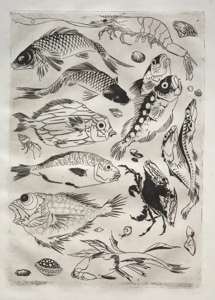 Dinner Service (Rousseau service); Fish (no. 24) av Félix Bracquemond