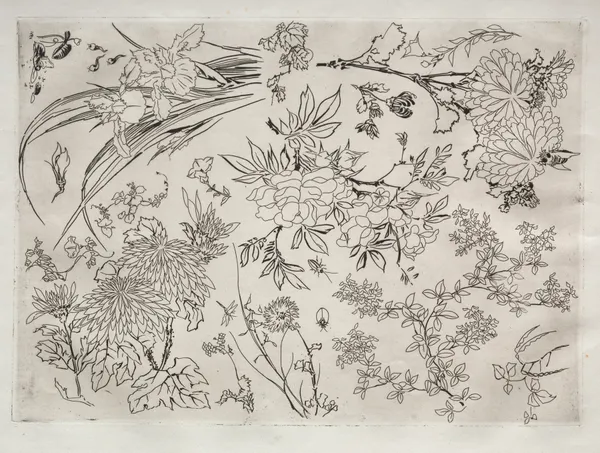 Dinner Service (Rousseau service); Flowers (no. 23) av Félix Bracquemond