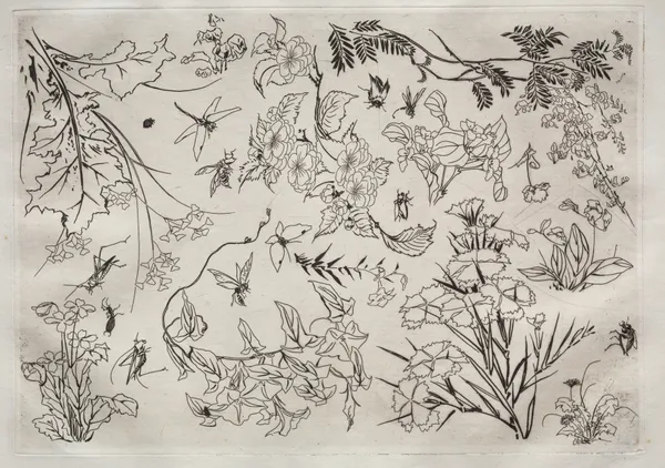Dinner Service (Rousseau service); Flowers (no. 22) av Félix Bracquemond