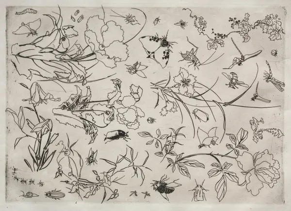 Dinner Service (Rousseau service); Flowers and Insects (no. 15) av Félix Bracquemond