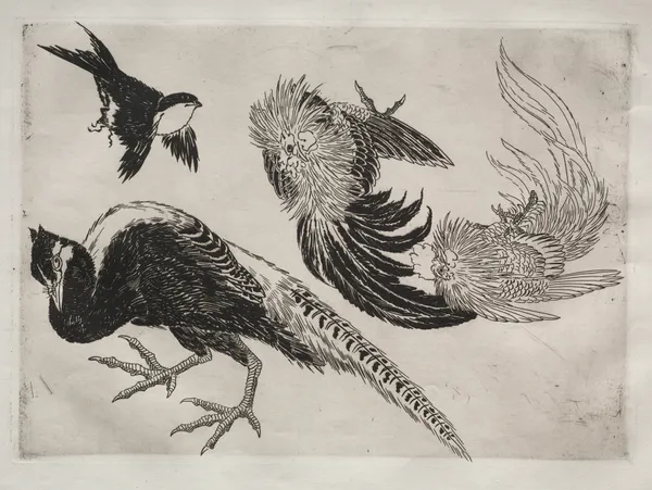 Dinner Service (Rousseau service); Pheasants and bird (no. 18) av Félix Bracquemond