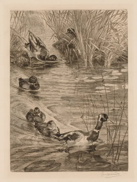 Ducks at play av Félix Bracquemond