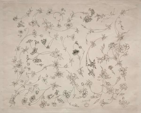 Flower designs for plates and borders (no. 14) av Félix Bracquemond