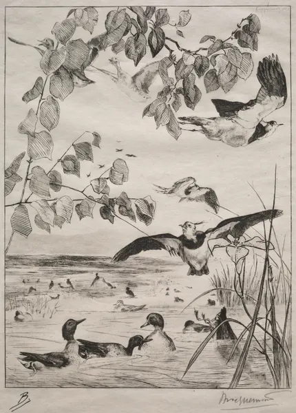 Lapwings and Teals av Félix Bracquemond