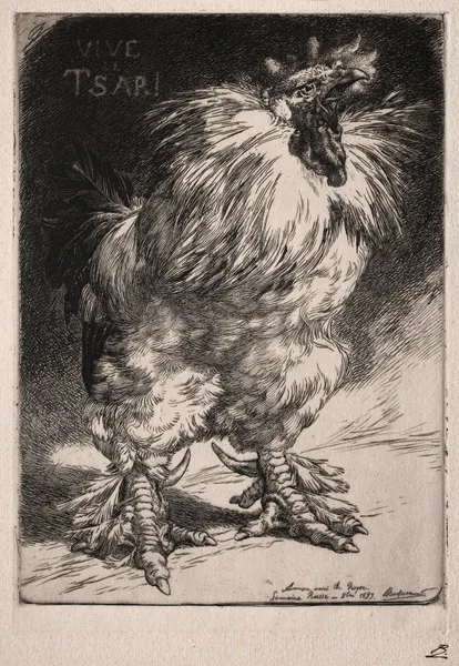 The French Cock av Félix Bracquemond