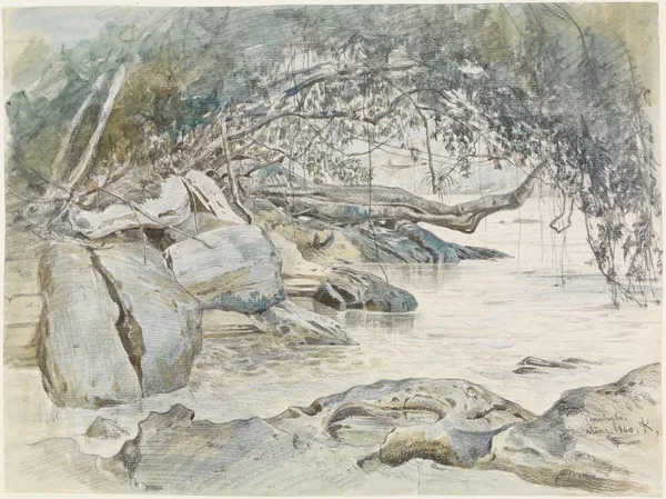 Baumbestandenes Felsenufer am Parahyba av Ferdinand Keller