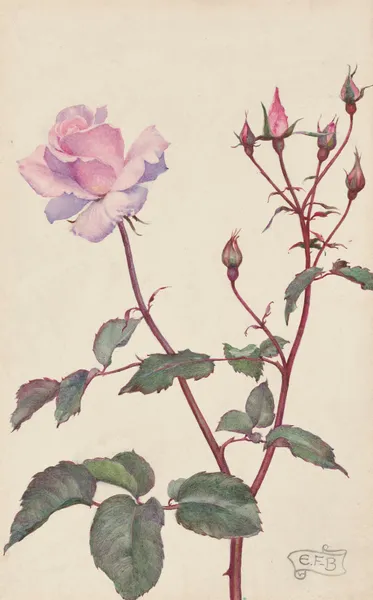 Lady Pirrie Rose av Eleanor Fortescue-Brickdale