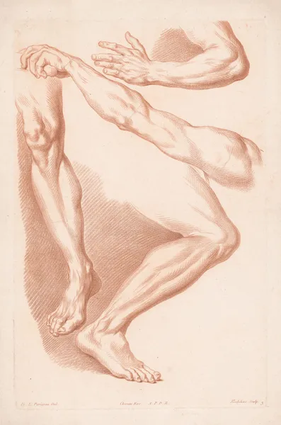 Different views of two legs and two arms av Louis-François Roubiliac