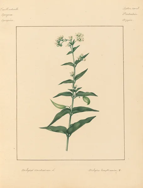 Plantes des environs de Paris Pl.011 av Pierre Jean François Turpin