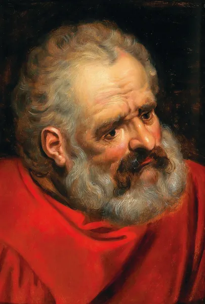 A Bearded Old Man In A Red Cloak av Frans Floris